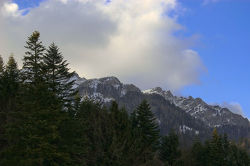 sinaia's mountains