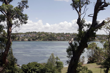 sydney suburb