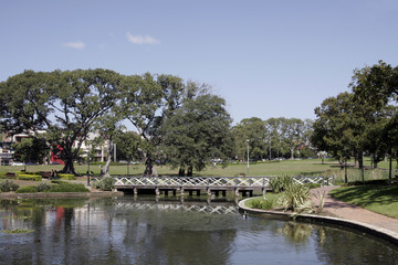 little bridge in park