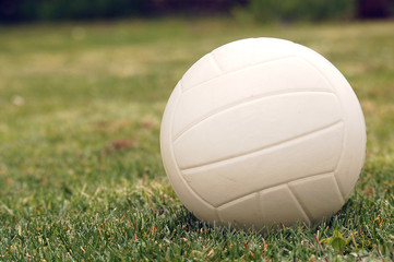 green volley