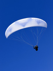 parasailer