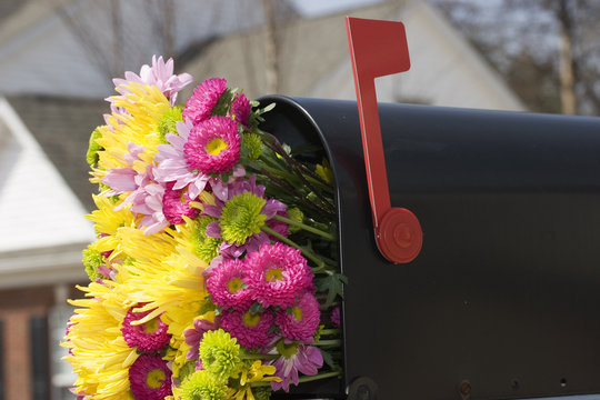fresh spring flower bouquet in the mailbox