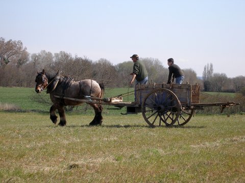 cheval
