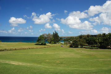 Fototapeta na wymiar golf course by the ocean