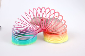 rat in the rainbow toy