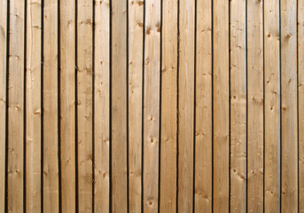 wooden fence background.