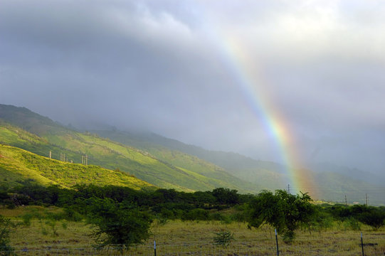 tropical rainbow