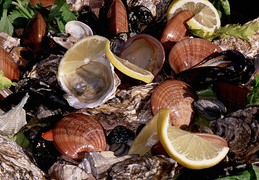 frutti di mare