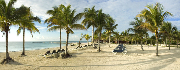 la plage le matin