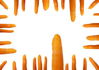 carrot frame
