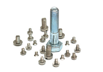 group of screws led by a big guy