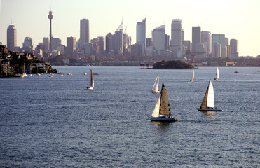 yacht regatta