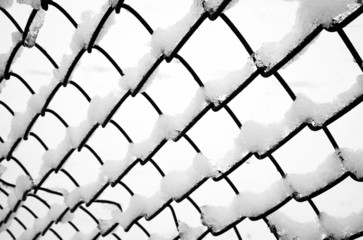 netting