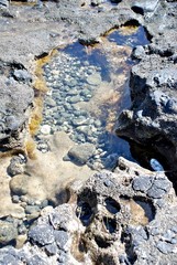 pool on water on a rocky coast