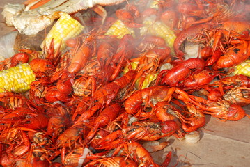 steaming cray fish