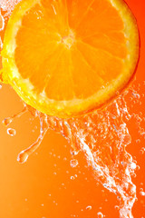 orange slice and water droplets