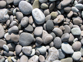 Fototapeta na wymiar pebbles on the beach of the black sea. big picture