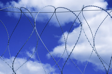 razor wire on the sky background