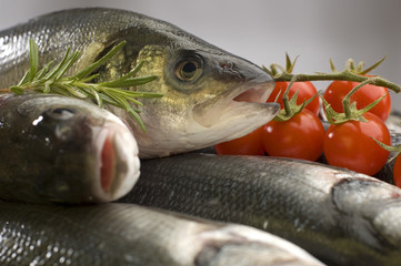 bass