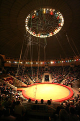 modern circus