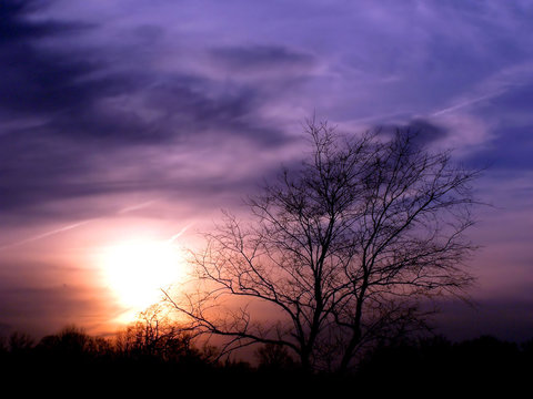 evening sunset