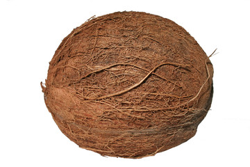 photo noix de coco