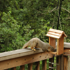 caught in the act series #3