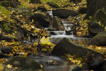 streams in the autumn