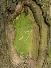 coeur
