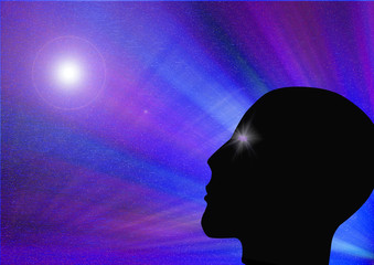the head