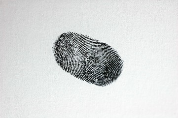 empreinte digitale © Bruno Delacotte