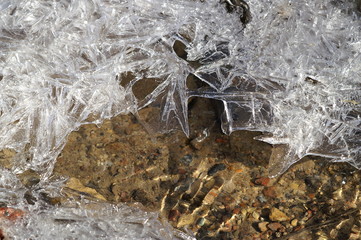 spring, melting of the ice