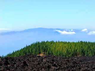 Obraz premium tenerife