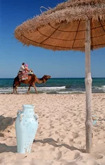 Stickers pour porte Tunisie tunisie - promenade à dos de chameau