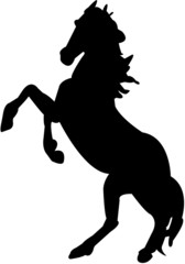 Fototapeta na wymiar horse silhouettes