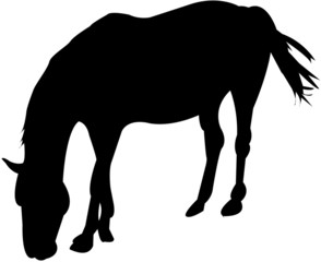 horse silhouettes