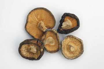 dried mushrooms