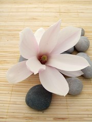 Naklejka premium harmonie