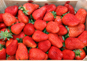 strawberry