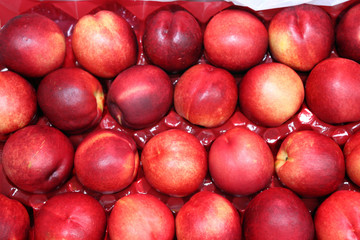 apricots