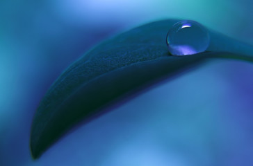 one drop