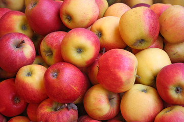 apples galore