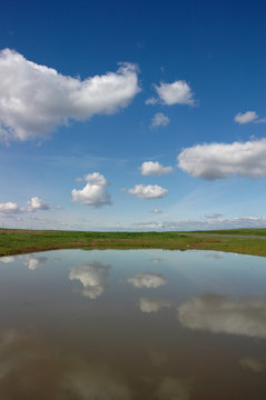 cloud reflection