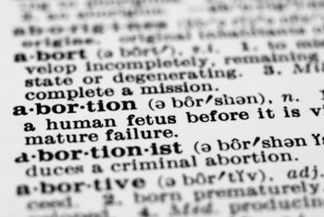 dictionary definition  - abortion