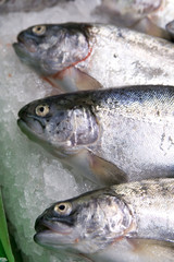 tres pescados