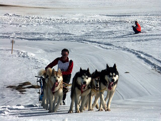 oravasnow 2007 - long rennen