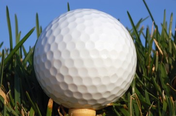 golf ball on a tee