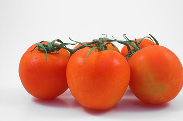 tomatoes
