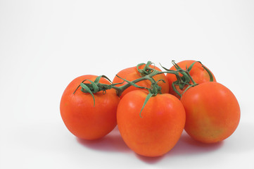tomatoes