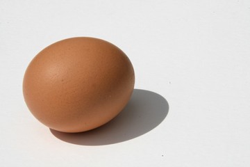oeuf